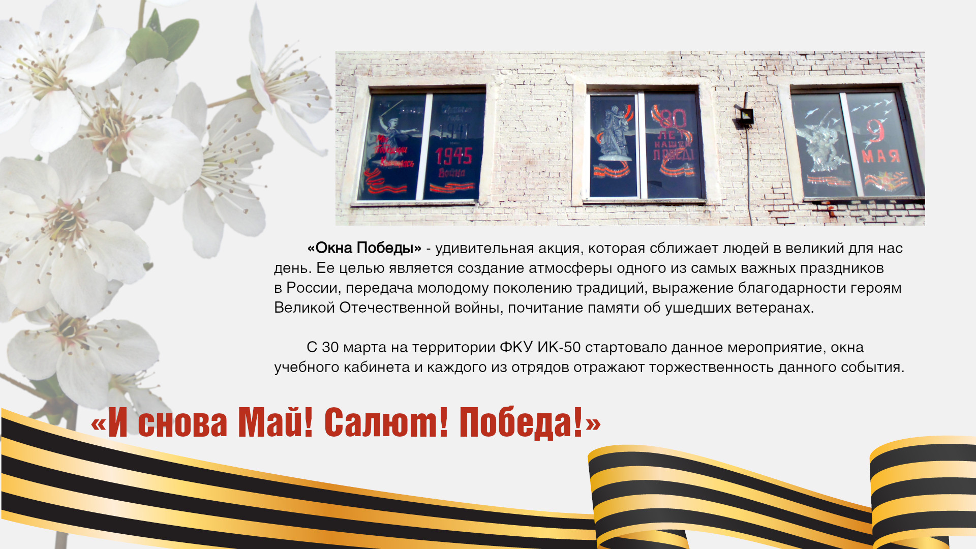 1OknaIK50.jpg