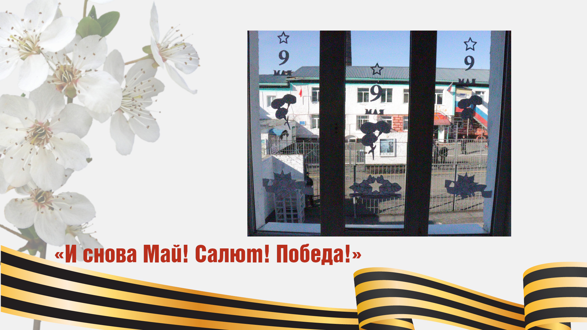 OknaIK43.jpg